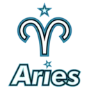Aster.Aries