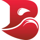 Bleed Esports