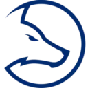 Team LDLC