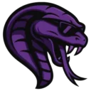 Team Cobra