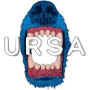 Ursa