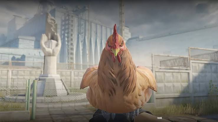 Valve pet chicken CS2